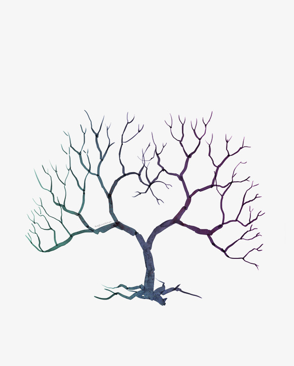 落满积雪的枯枝败叶