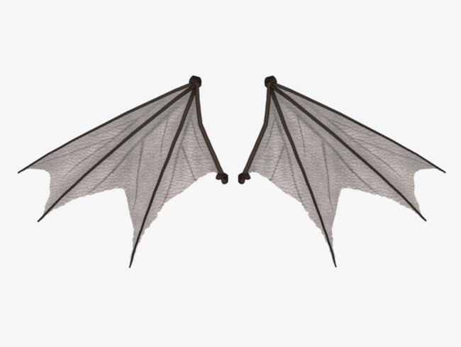 蝙蝠翅膀