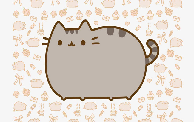 肥肥猫咪