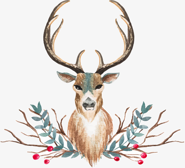 矢量手绘动物鹿
