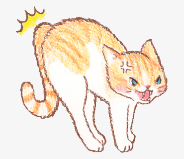 表情生气可爱小猫咪插画