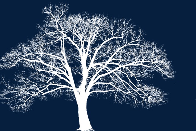 白色圣诞树png素材-90设计