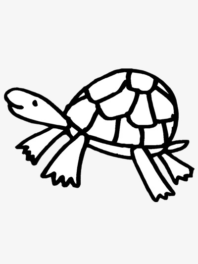 爬行的乌龟