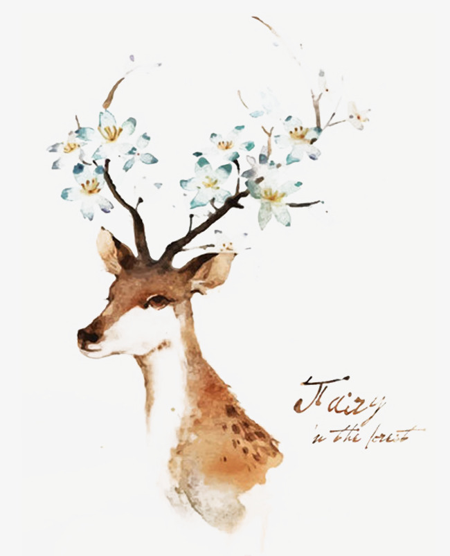 手绘水彩两头长角的鹿