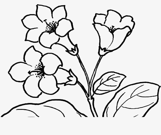 动画效果简笔画狼的图腾