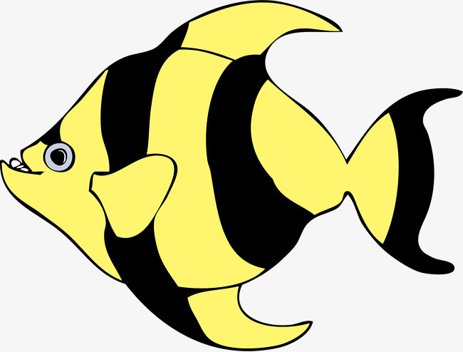 黄黑相间的热带鱼