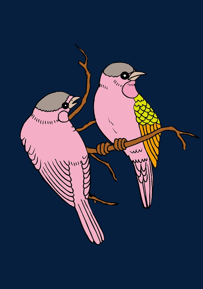 一对鸟在枝头喳喳叫