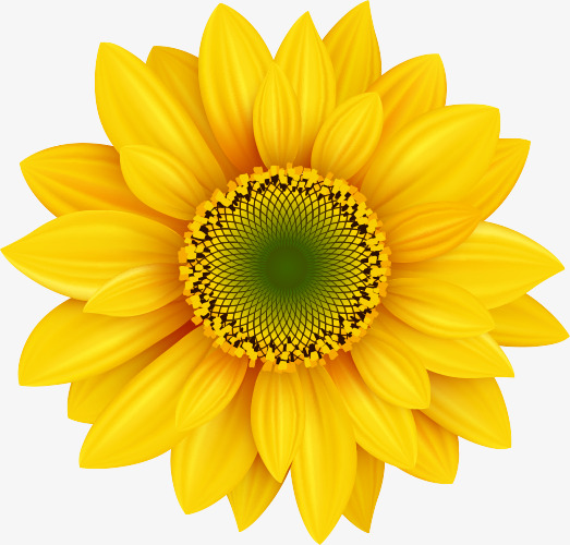 现代金色球体装饰元素素材免抠图案