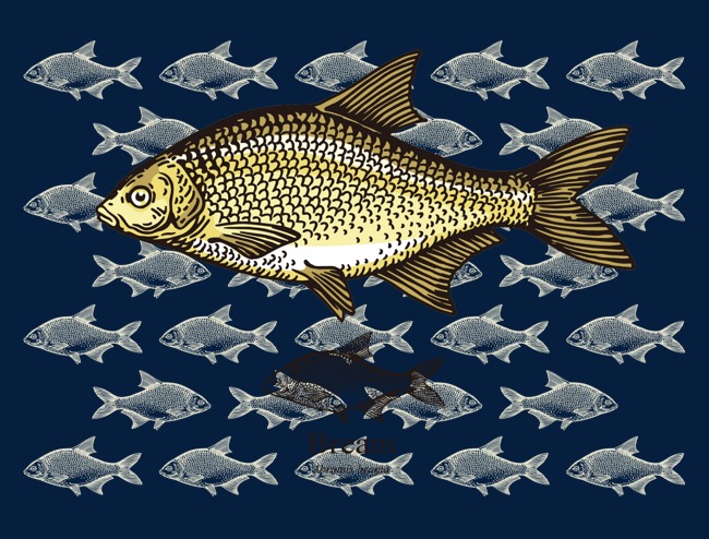 手绘黄色精致鳊鱼侧面