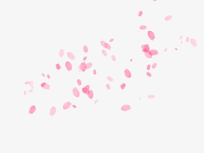 粉色花瓣图片素材
