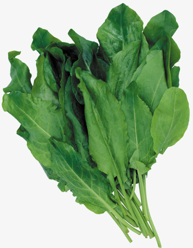 一丛青菜png素材-90设计