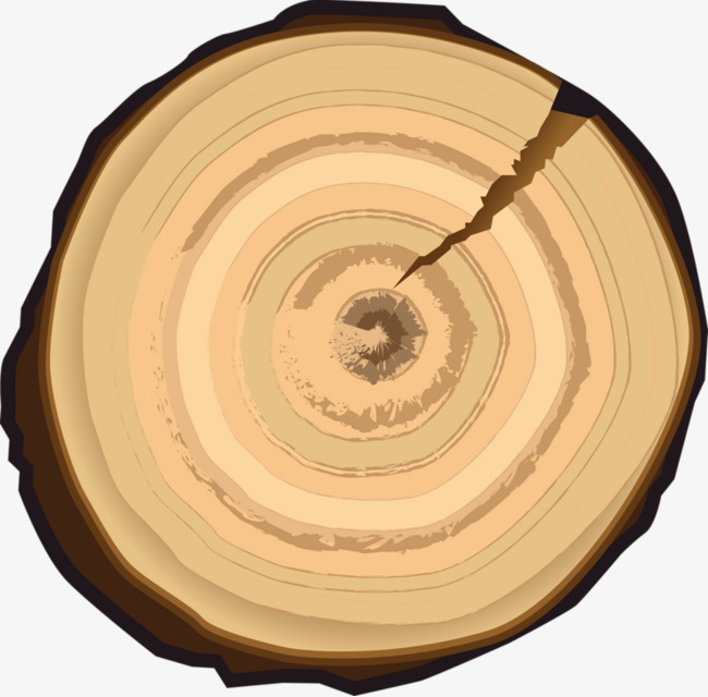 夏季木墩大树年轮昆虫知了【免抠元素png】-90设计网