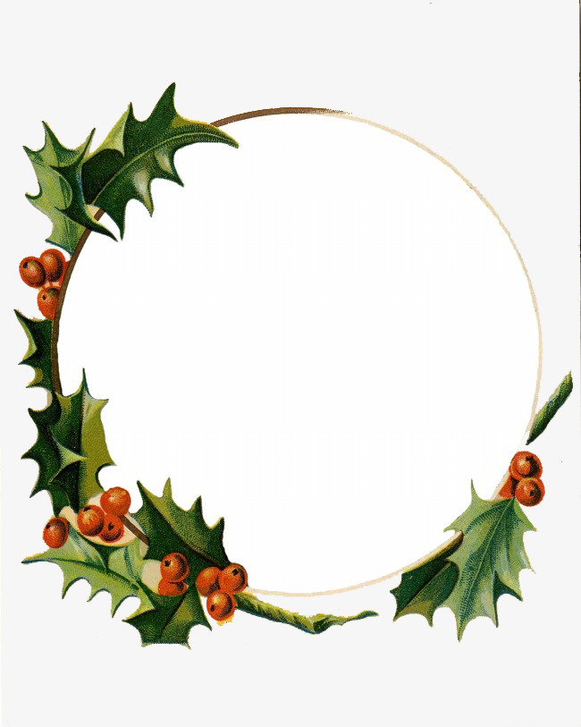 彩色葡萄png素材-90设计