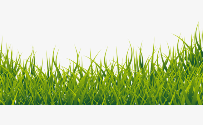 绿油油_绿油油的禾苗【高清png素材】-90设计