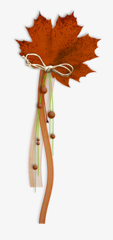 创意枫叶png素材-90设计