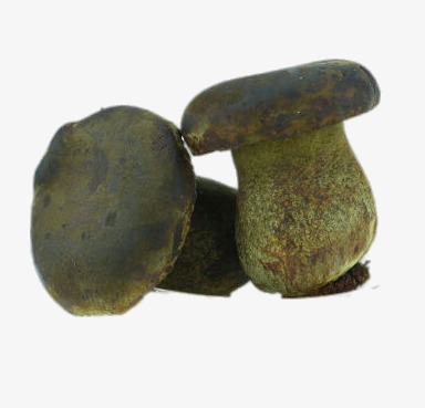 卡通痘痘挤痘痘挤黑头皮肤卡通形象免抠素材