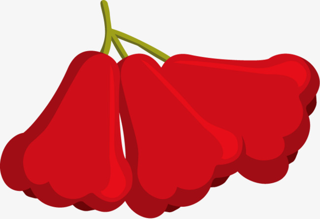 矢量红色的莲雾