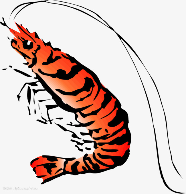 手绘大龙虾素材免抠