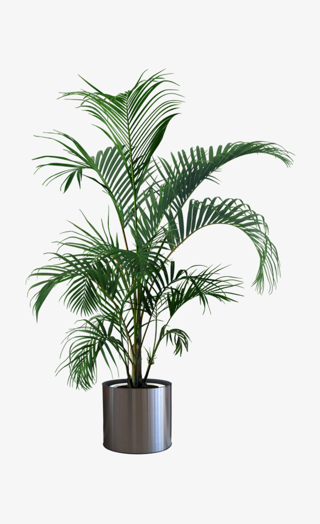 简约卡通手绘盆栽粉色小花朵元素设计【免抠元素png】-90设计网