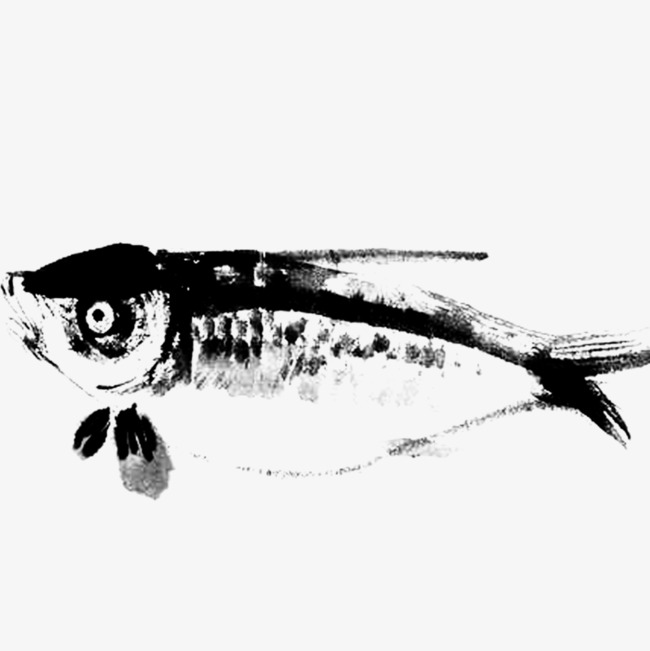 黑色鲤鱼游水墨画