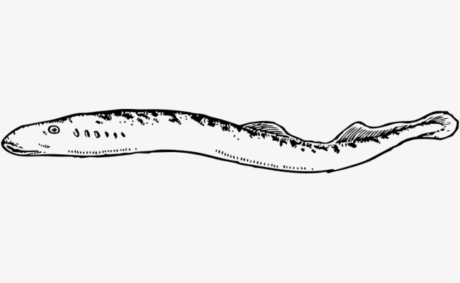 手绘卡通红色的鱼吐泡泡惊讶表情整蛊呆萌