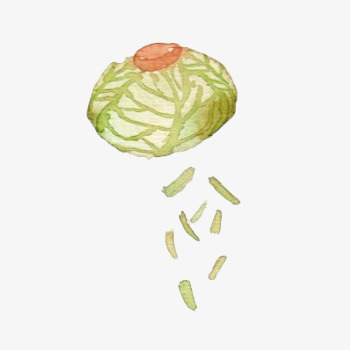 手绘包菜