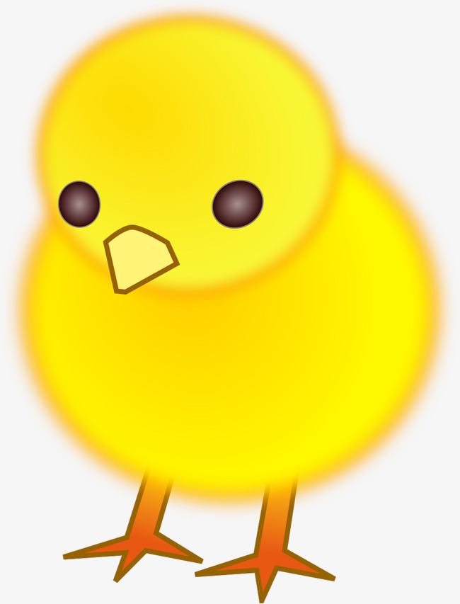 黄色的小鸡