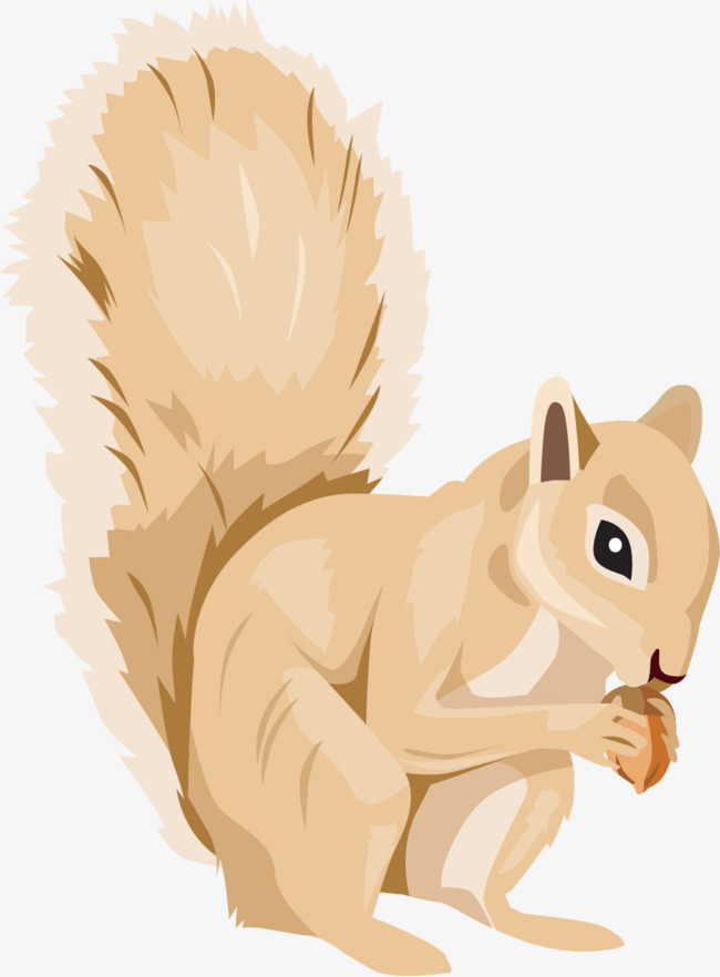 矢量手绘可爱松鼠