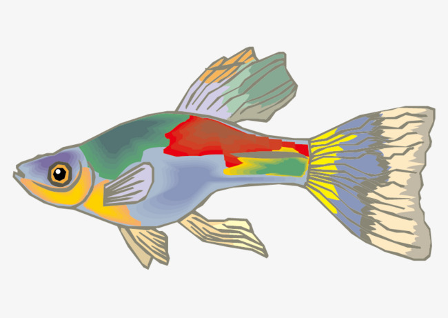 带鱼简笔画彩色图片
