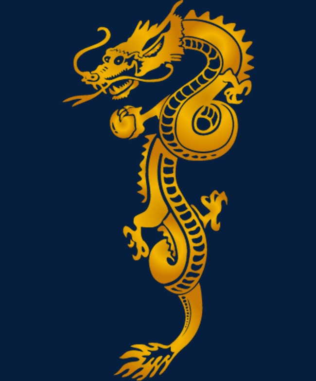 创意古典民族神龙图腾花纹元素设计