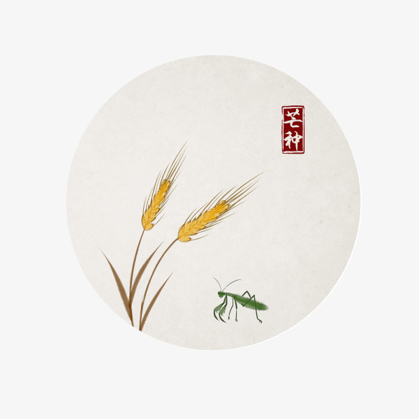 二十四节气芒种