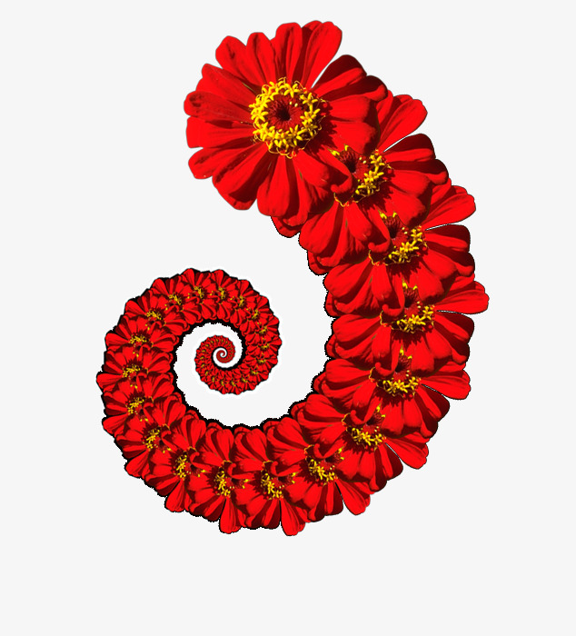 螺旋花朵图案