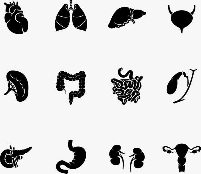 黑色内脏器官剪影图案
