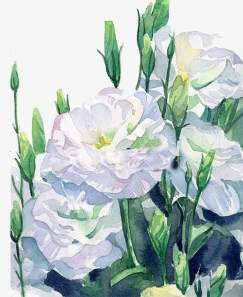 白色花朵
