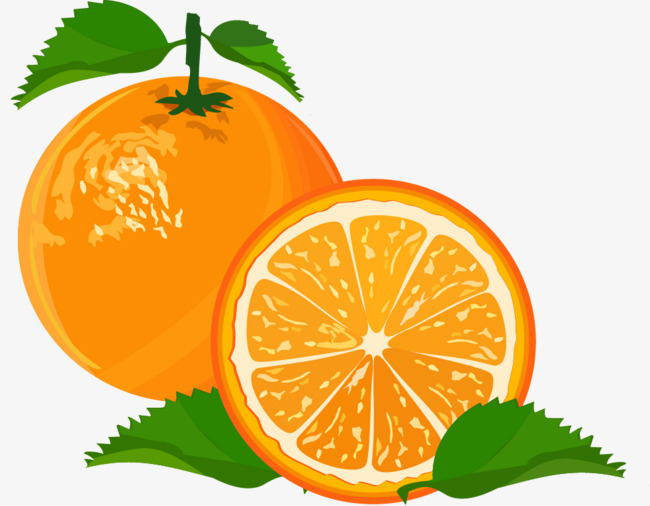 矢量橙子装饰设计素材
