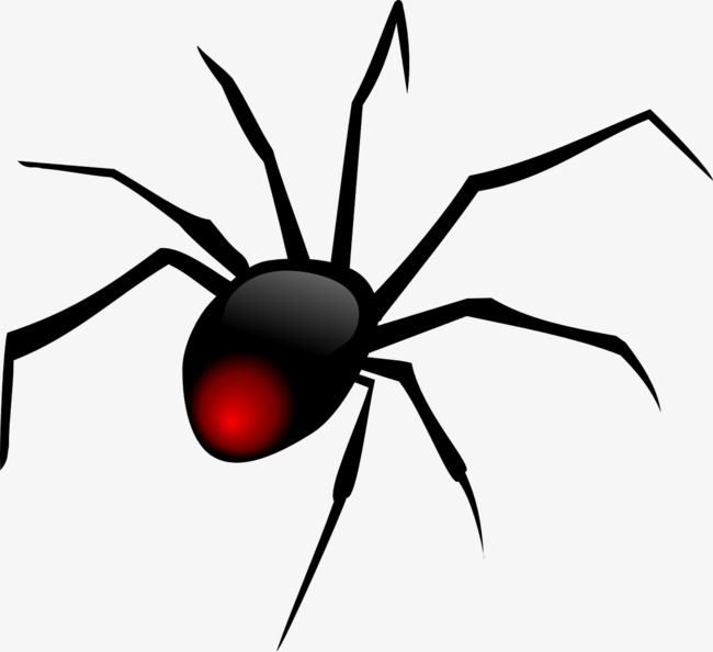 万圣节黑色卡通蜘蛛蜘蛛网