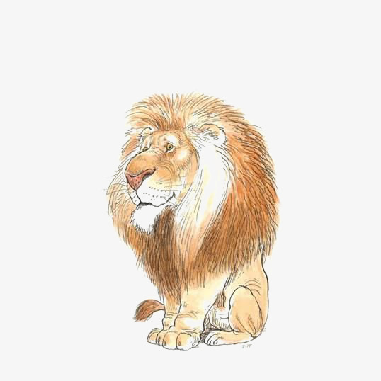 手绘狮子