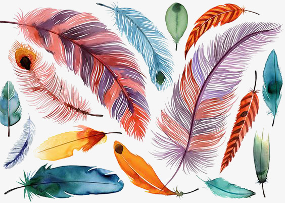 彩色漂浮羽毛