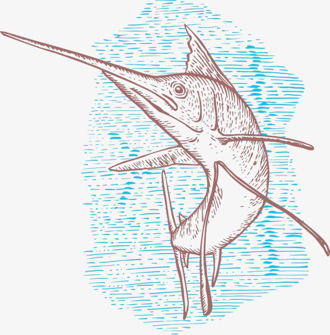 有质感的线条尖嘴鱼