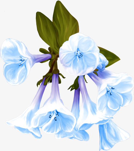 卡通手绘夜来香花朵装饰