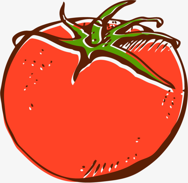 西红柿png矢量素材