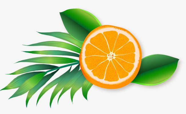 橙子切面创意画图片