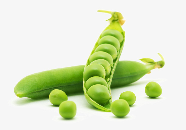 精美的豌豆png素材-90设计