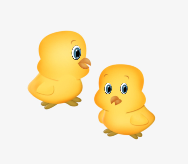 两只小鸡