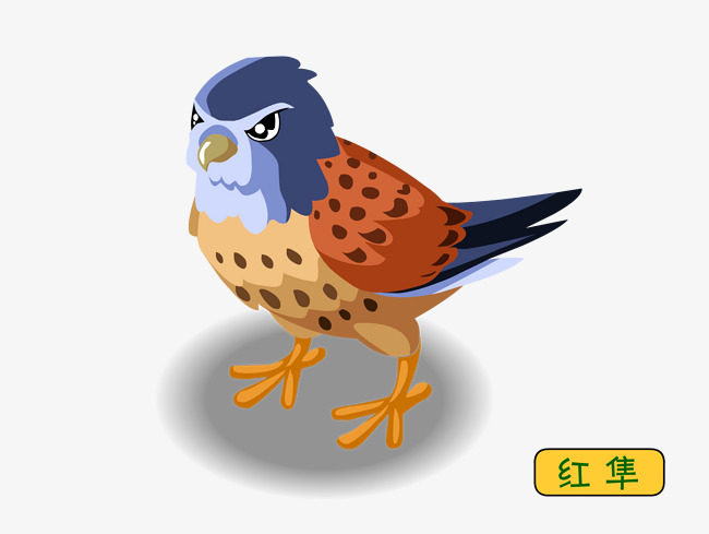 手绘红隼