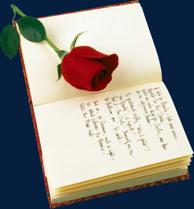书与玫瑰花 图片唯美图片