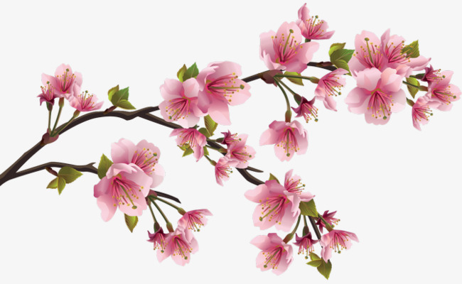 粉色桃花png素材-90设计