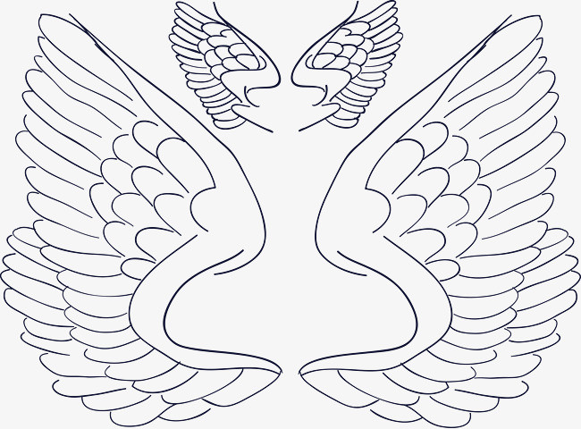 描线羽毛翅膀矢量图