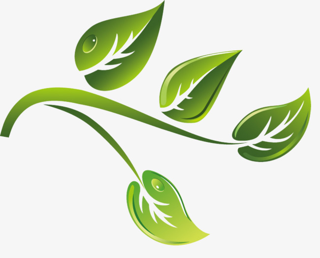 绿色卡通茶树枝矢量素材