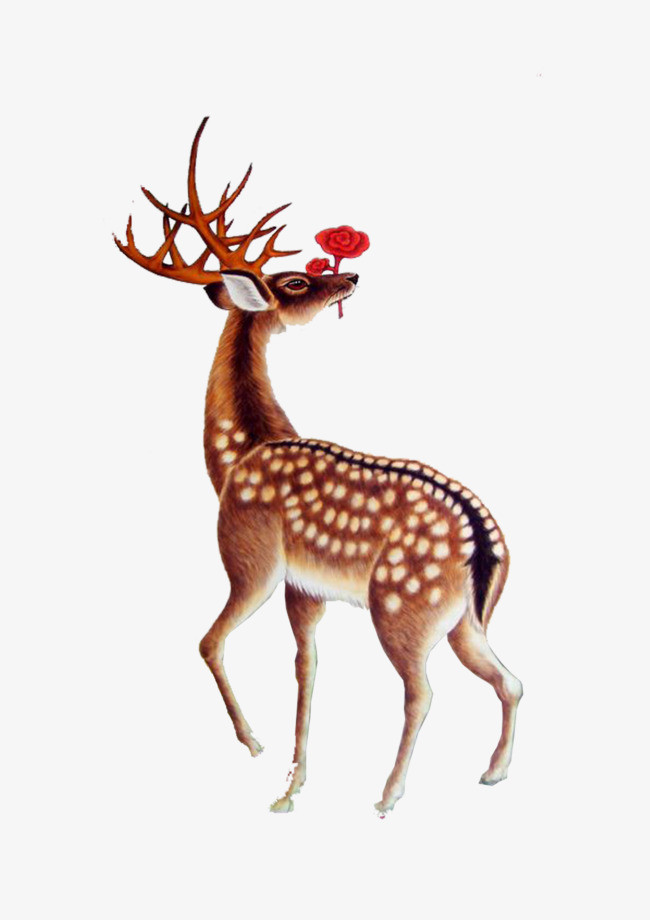彩绘梅花鹿